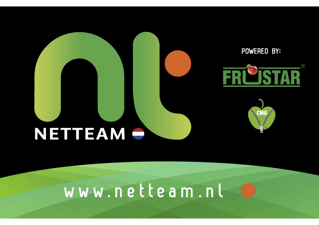 Netteam logo